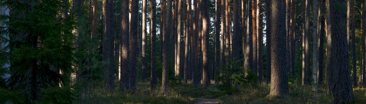 blog 3
