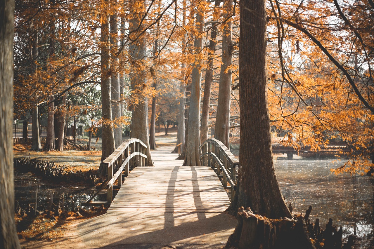 How to Stop Rushing: A Walker's Guide to Slowing Down