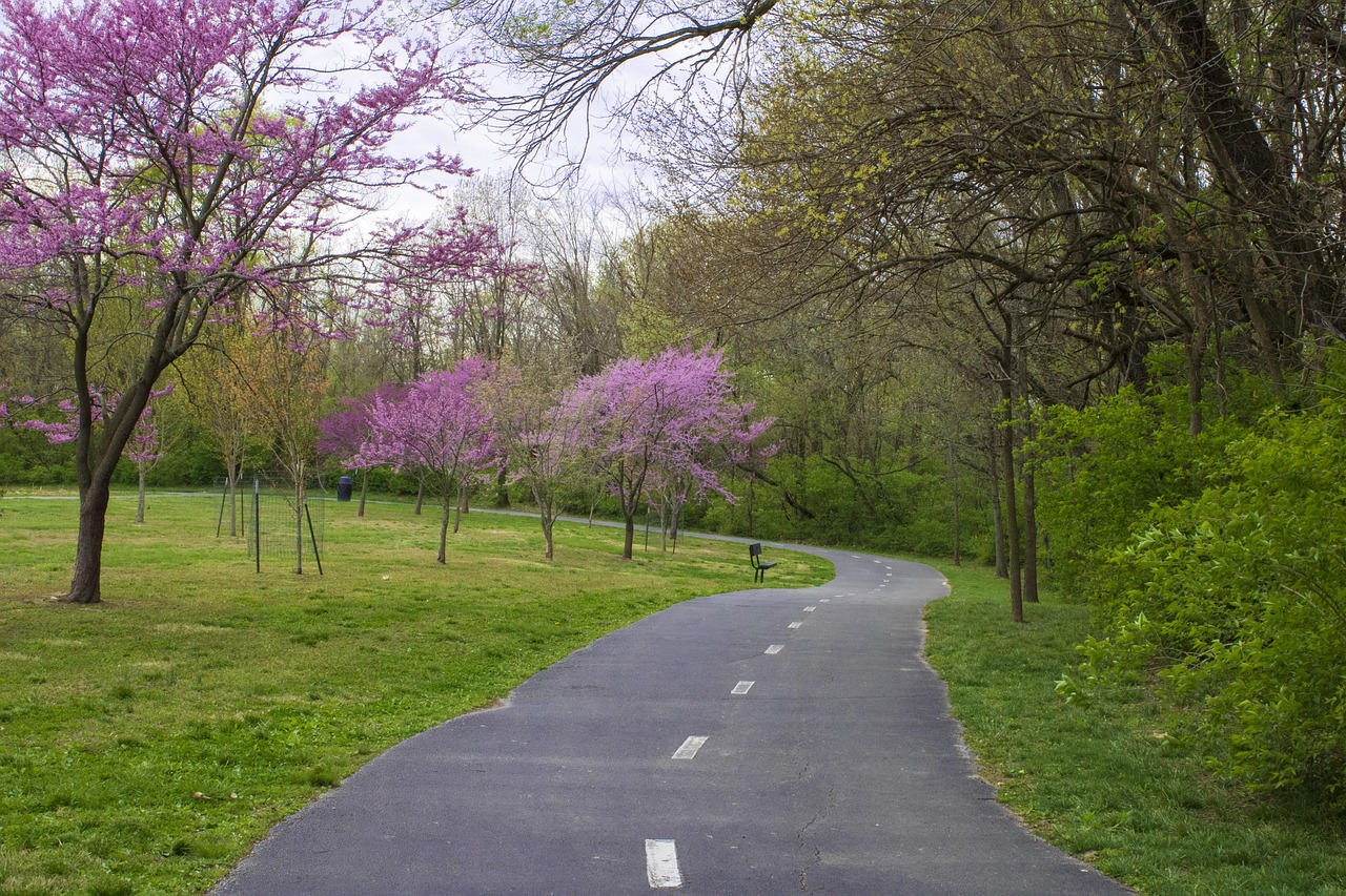 The Art of the Aimless Walk: Why Wandering Is Good for Your Mind