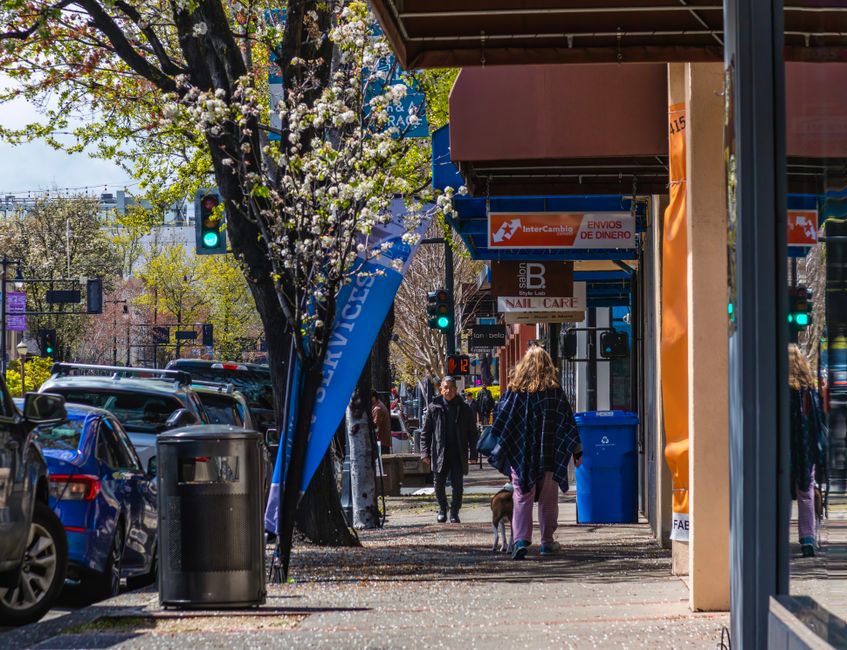 The Five-Minute Walking Reset: Mindfulness for Days When You Have No Time