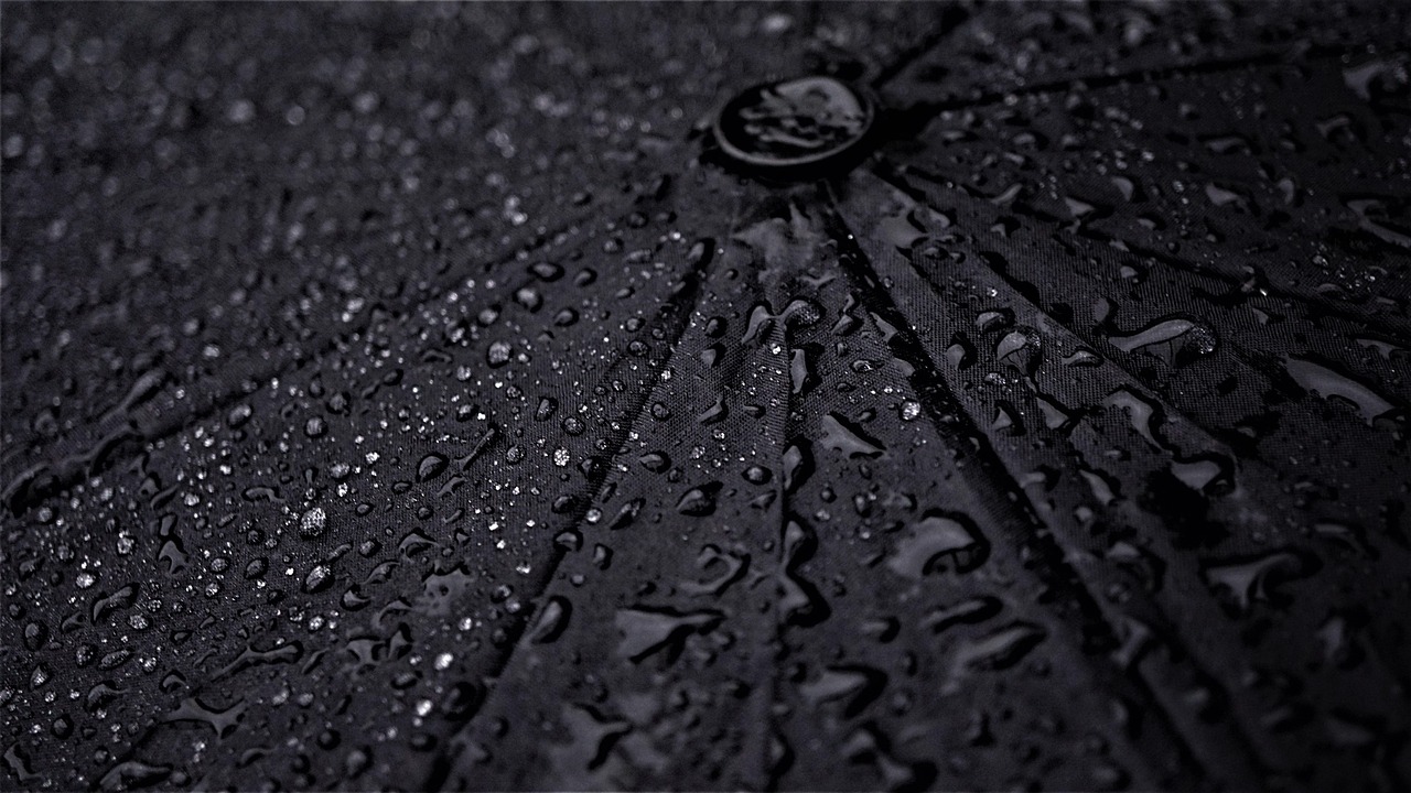 The Quiet Power of Walking in Bad Weather