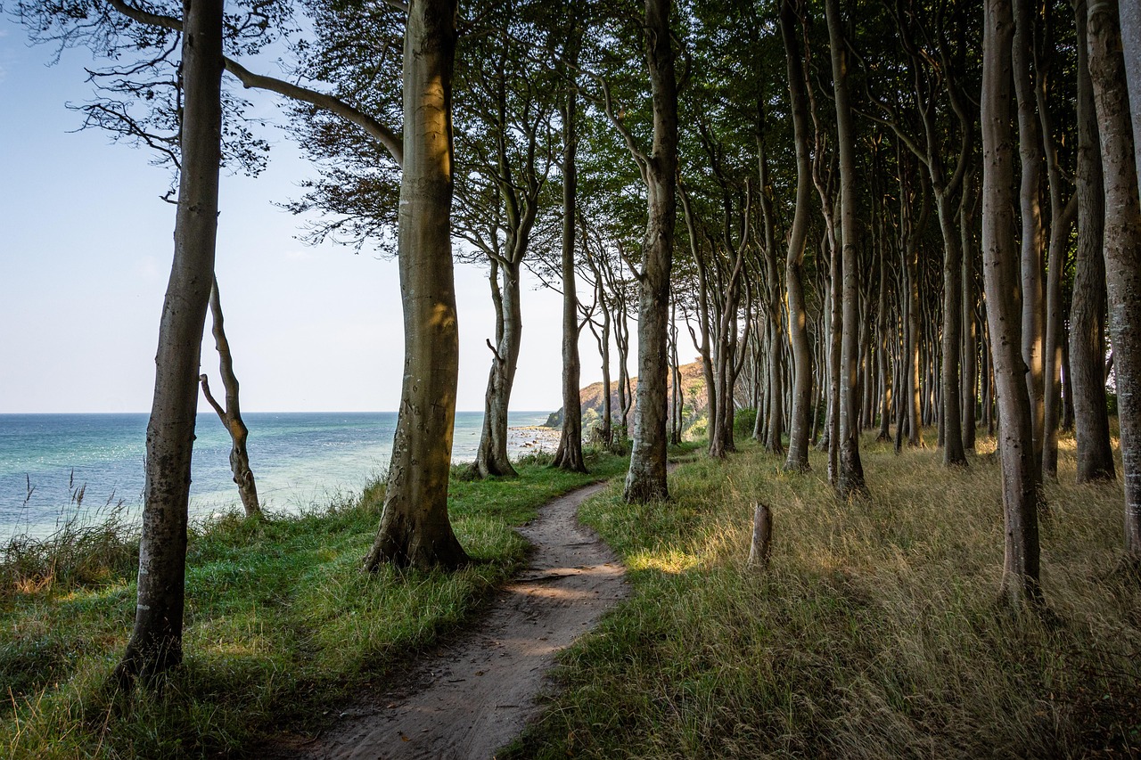 Walking as a Way to Reconnect With Your Body After Burnout