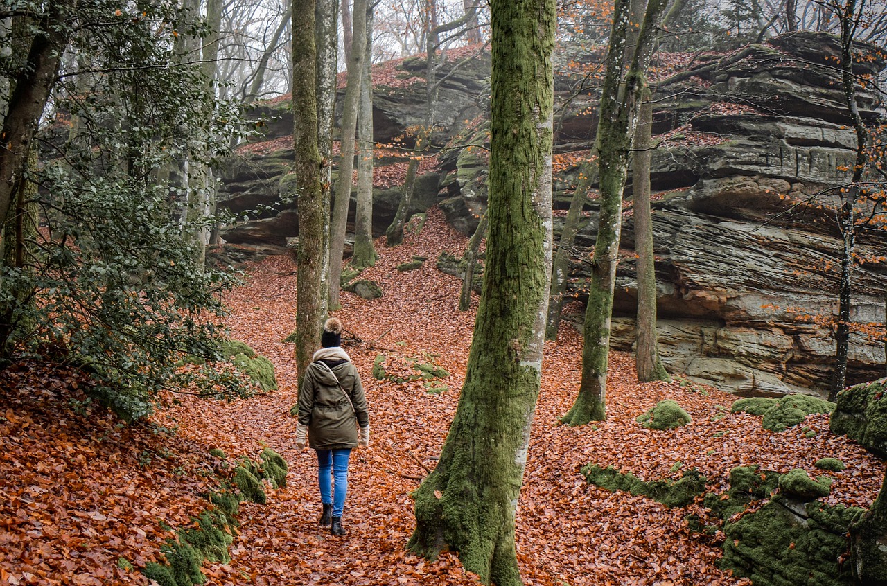 Walking Through Grief: How Movement Helps Us Carry What We Cannot Fix