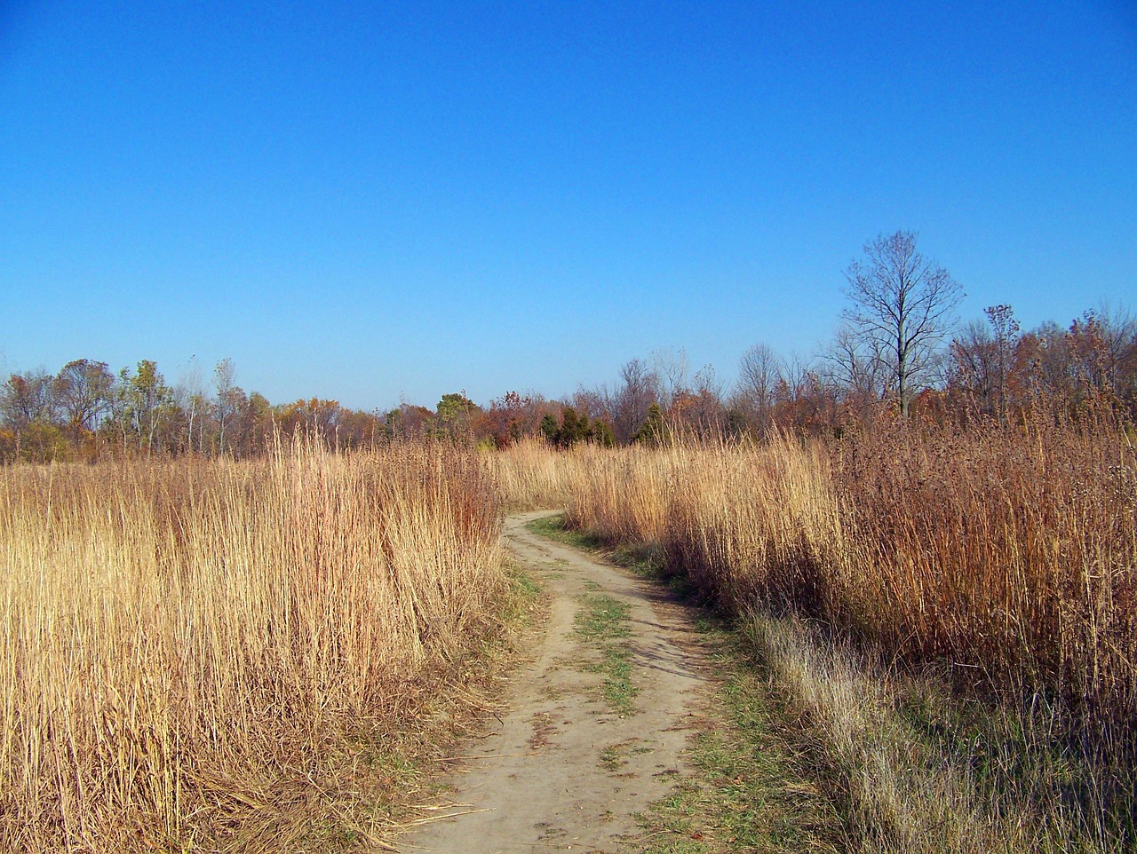 Walking With No Destination: A Practice in Letting Go